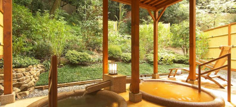 有马温泉 竹取亭円山温泉旅馆(Arima Onsen Taketoritei Maruyama)图片