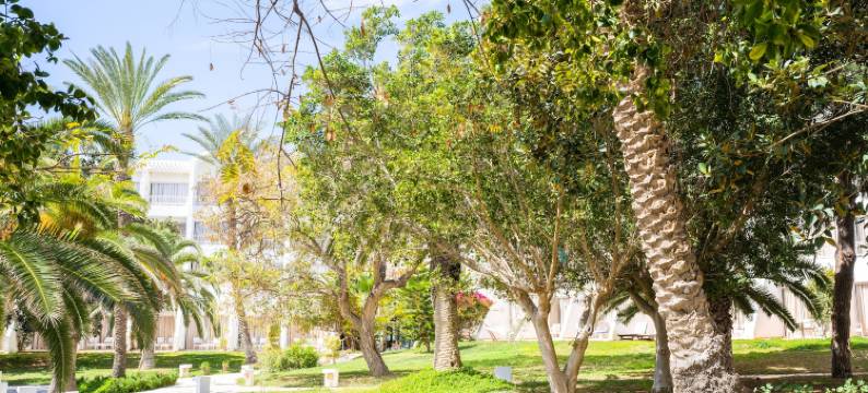 贝拉祖尔特拉所简易别墅酒店(Hotel Bel Azur Thalasso & Bungalows)图片