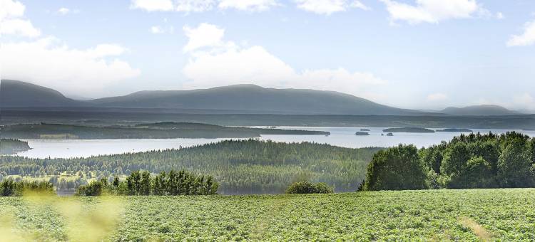 厄斯特松德福洛色第一露营酒店(First Camp Frösön-Östersund)图片