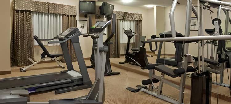 舒适酒店(Comfort Inn)图片