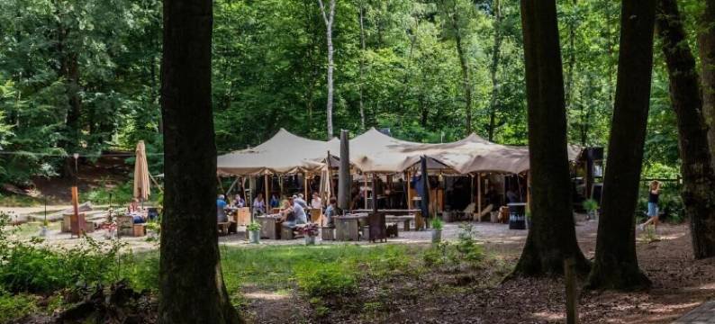 比克赫伊曾庄园(Buitenplaats Beekhuizen)图片