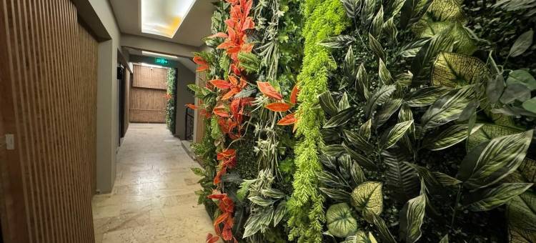 维亚纳精品酒店(Viyana Boutique Otel)图片