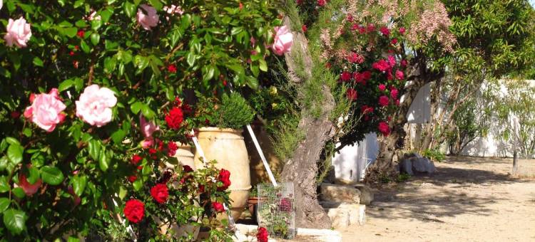 卡夏尔酒店(Cacharel)图片