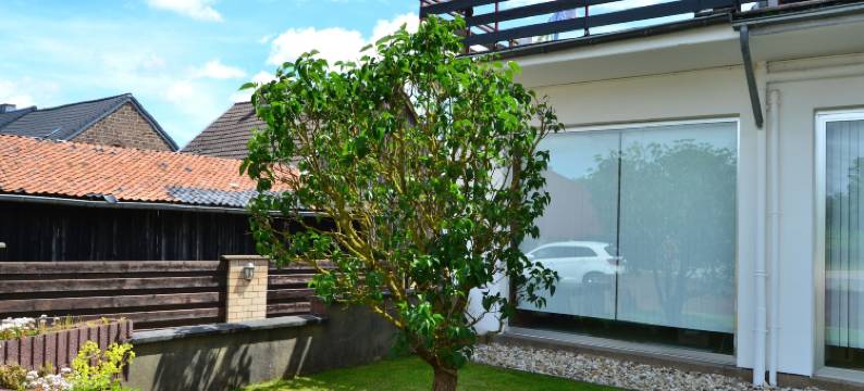 艾菲尔霍夫维娜酒店(Eifelhof Weina)图片