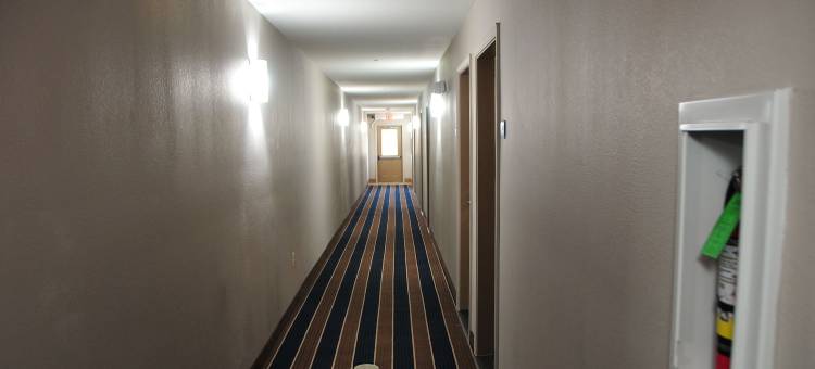 天堂套房酒店(Paradise Inn & Suites)图片