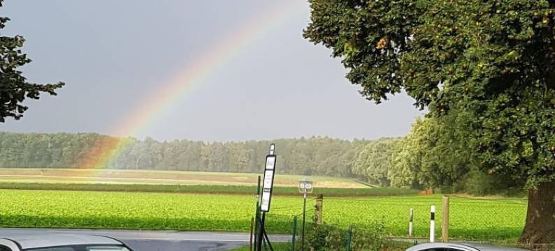 Haus Nachtigall旅馆及早餐(Hotel Haus Nachtigall - B&B)图片