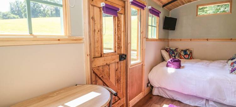 铁路马车酒店(Railway Carriage)图片