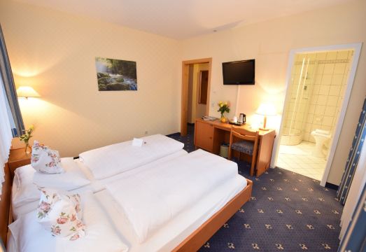 Alte Mühle Hotel & Restaurant Hotel Overview