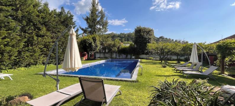 可可里尔皇宫酒店(Royal Cocoa Palace)图片