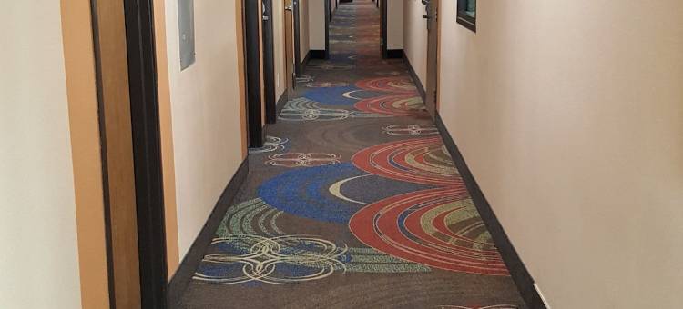 哈里森维尔美洲最佳价值套房酒店(Americas Best Value Inn and Suites Harrisonville)图片