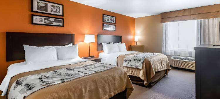 奥卡拉/贝尔维尤舒眠套房酒店(Sleep Inn & Suites Ocala)图片