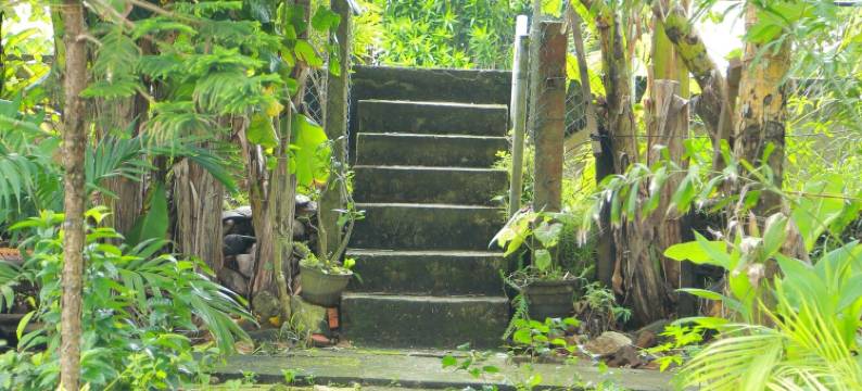 奥山达客人(Osanda Guest)图片