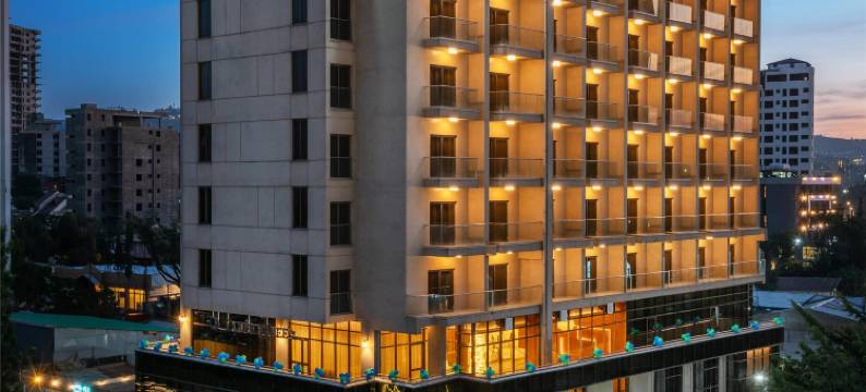 希尔顿阿迪斯亚贝巴机场逸林酒店(DoubleTree by Hilton Addis Ababa Airport)图片