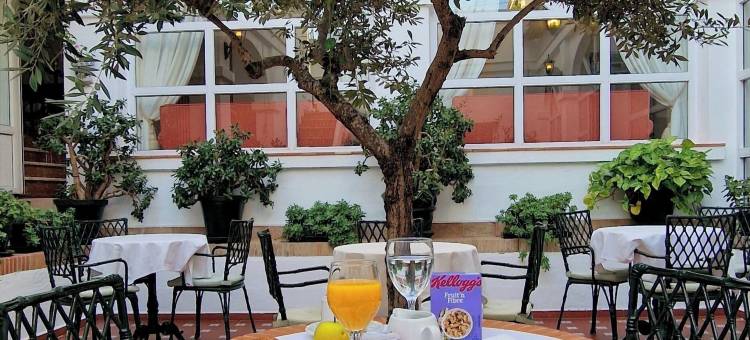 洛斯奥利弗斯酒店(Hotel Los Olivos)图片