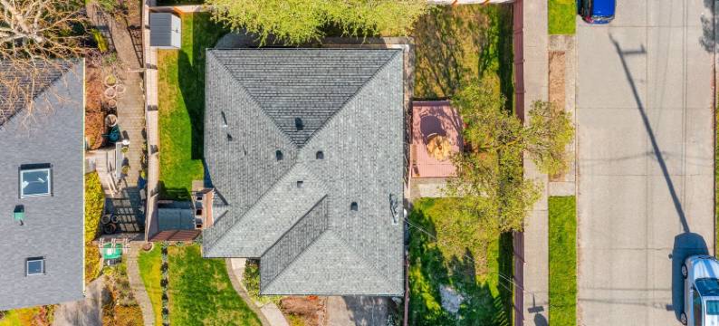 丁香法律(Lilac in Law, Picturesque Lower Unit)图片