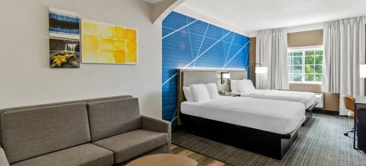 舒适套房酒店(Comfort Suites)图片