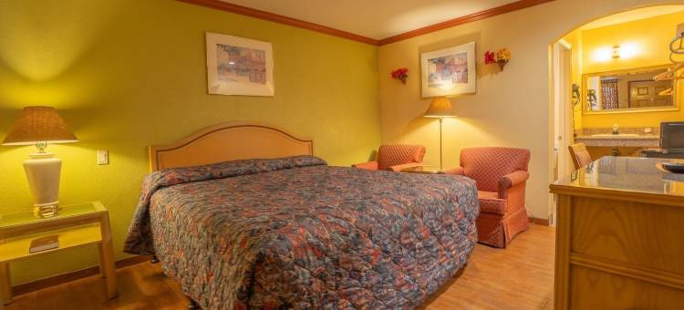 阳星旅馆(Sunstar Inn)图片