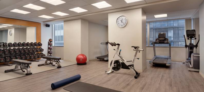 纽约市中心希尔顿逸林酒店(DoubleTree by Hilton New York Downtown)图片