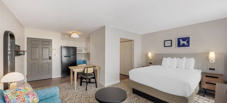 领地索尼斯塔ES套房酒店(Sonesta ES Suites Austin the Domain Area)图片