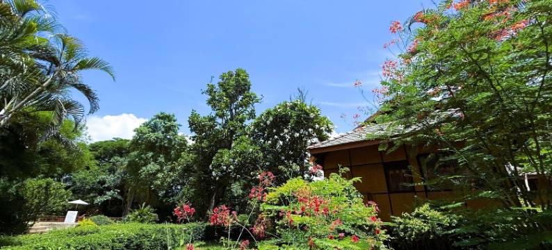 拜县班柯拉庭度假酒店(Baan Krating Pai Resort)图片