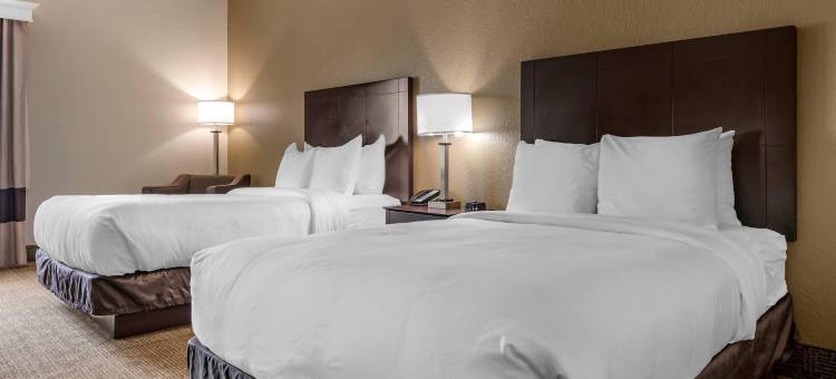 舒适套房酒店-近迪兰大学(Comfort Inn & Suites DeLand - Near University)图片