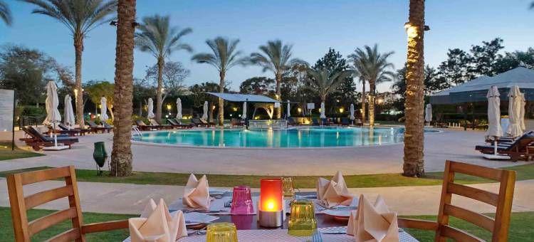 开罗十月六日城诺富特酒店(Novotel Cairo 6th Of October)图片