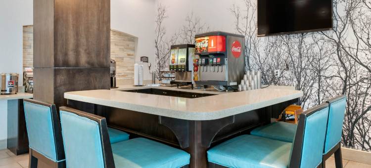 Staybridge Suites 佛罗里达州圣彼得堡(Staybridge Suites ST. Petersburg Downtown)图片