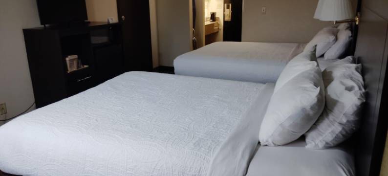 舒适旅馆(Cozy Inn Centralia)图片