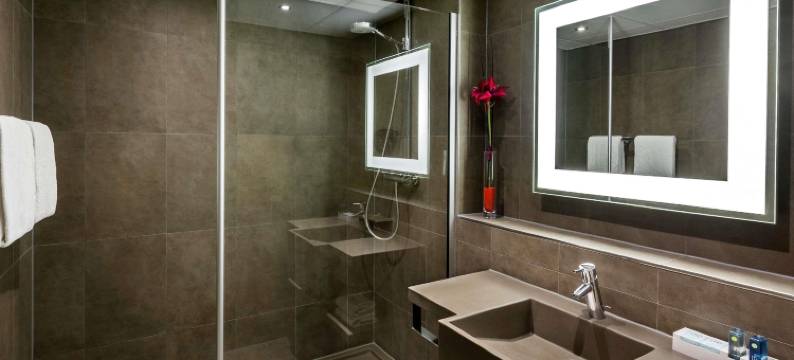 海牙世界论坛诺富特酒店(Novotel Den Haag World Forum)图片