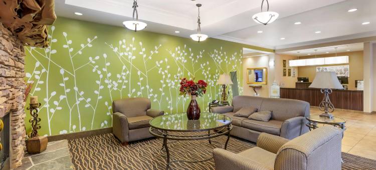 舒眠套房酒店(Sleep Inn & Suites)图片