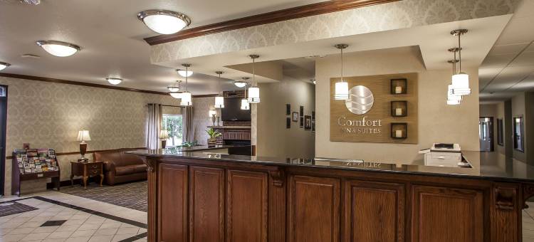 达文波特四城舒适套房酒店(Comfort Inn & Suites Davenport - Quad Cities)图片