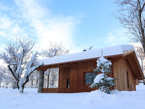 懒惰的蜜蜂露营村