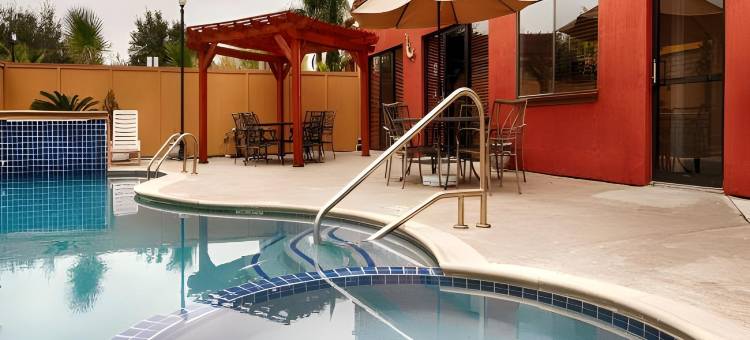 IAH布什机场-东舒适套房酒店(Comfort Inn & Suites IAH Bush Airport - East)图片