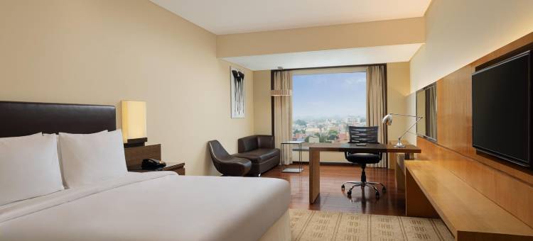 比拉斯布尔万怡酒店(Courtyard Bilaspur)图片