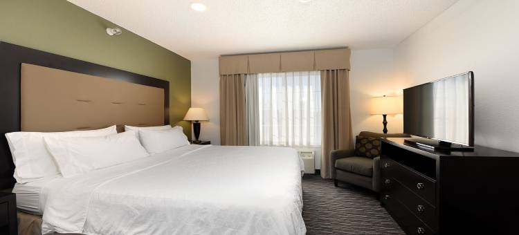芝加哥迪尔菲尔德/林肯郡智选假日套房酒店(Holiday Inn Express & Suites Chicago-Deerfield/Lincolnshire)图片