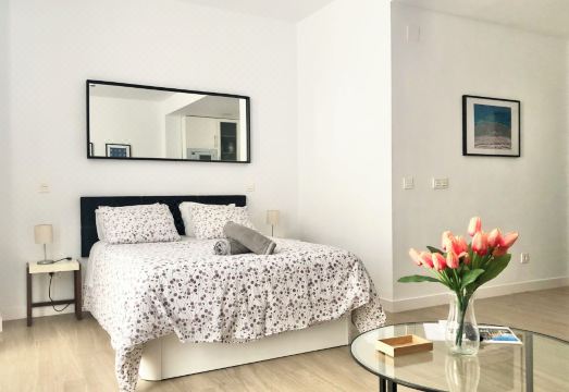 Centro Picacho Hotel Overview