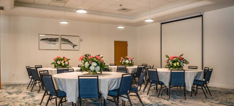 马里泰姆劳德代尔堡机场&邮轮港酒店(Maritime Hotel Fort Lauderdale Airport & Cruiseport)图片
