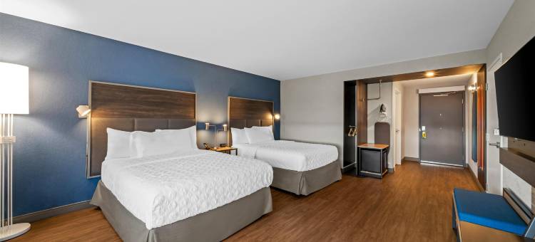 Tru By Hilton 奥沙瓦(Tru by Hilton Oshawa)图片