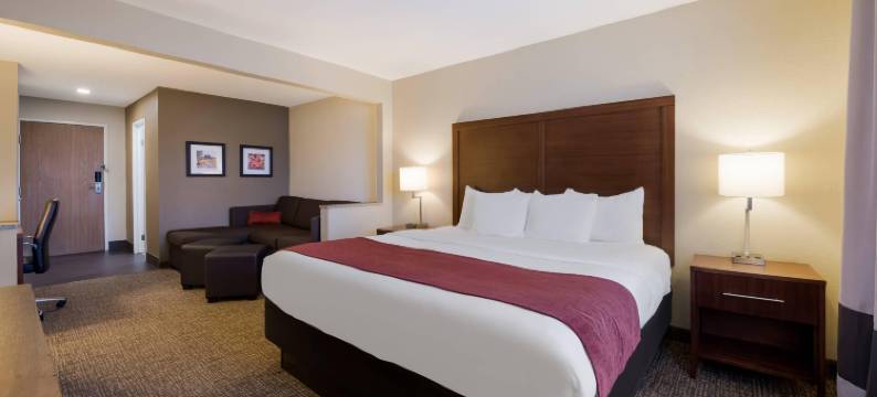 奥那拉斯加拉克罗斯区舒适酒店(Comfort Inn Onalaska - la Crosse Area)图片