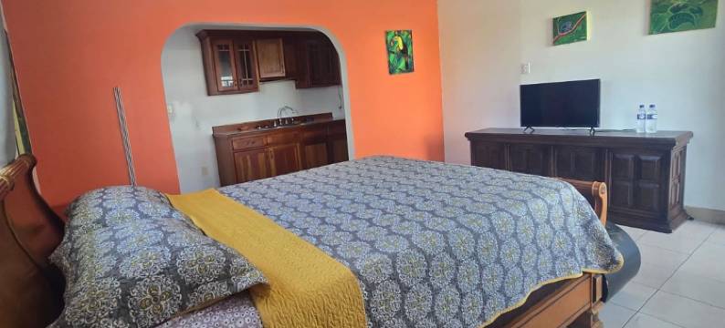 伯利兹斑博里奥旅馆(Bamboleo Inn Belize)图片