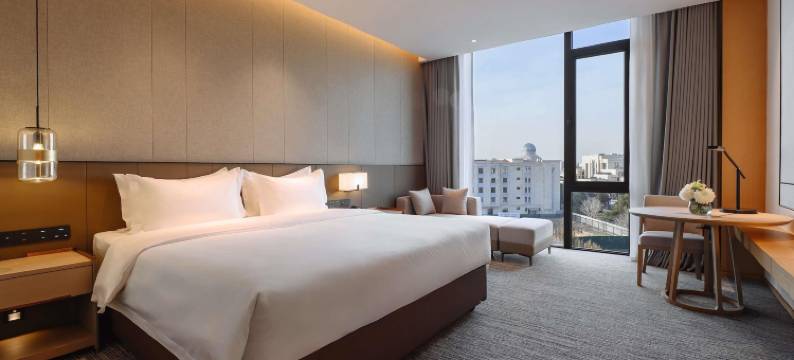 塔什干老城瑞享酒店(2026 年 3 月开业)(Mövenpick Hotel Tashkent Old City (Opening March 2026))图片