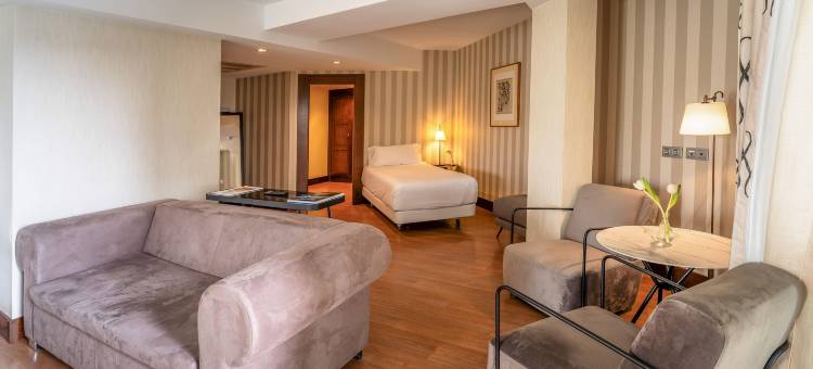 美利亚帕拉西奥阿维莱斯酒店(Palacio de Aviles Affiliated By Melia)图片