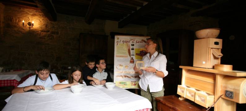 Bio Agriturismo la Cerqua图片