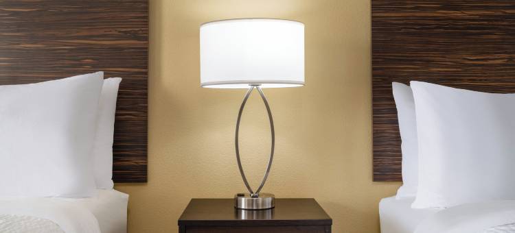 Ramada by Wyndham Houston Westchase(Ramada by Wyndham Houston Westchase)图片