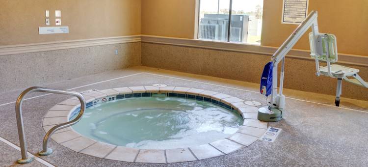 智选假日套房酒店特克萨卡纳东(Holiday Inn Express & Suites TEXARKANA EAST by IHG)图片