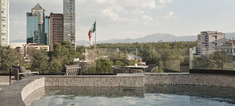 IHG旗下的金普顿埃尔卡斯特拉尔波兰科酒店(Kimpton EL CASTELAR POLANCO by IHG)图片