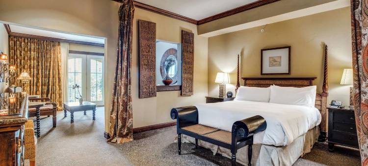 达拉斯萨扎酒店(Hotel ZaZa Dallas)图片