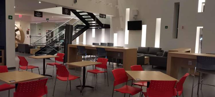 瓜达拉哈拉机场温德姆酒店华美达Encore酒店(Ramada Encore by Wyndham Guadalajara Aeropuerto)图片