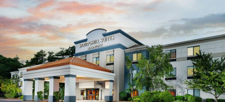 曼彻斯特-波士顿地区机场万豪SpringHill酒店(SpringHill Suites Manchester-Boston Regional Airport)图片