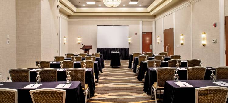 柯林斯威尔圣路易斯希尔顿逸林酒店(DoubleTree by Hilton Collinsville - St. Louis)图片